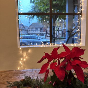 Good Seed Coffee Boutique - Seat facing the window - Coffee Roasteries Near Me - Solvang, California Good Seed Coffee Boutique - Seat facing the window - Coffee Roasteries Near Me - Solvang, California
