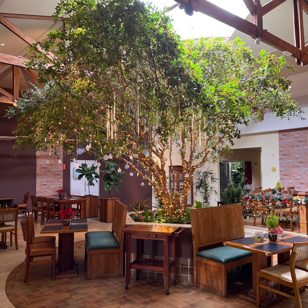 Casa Bela - Bars Near Me - Holambra, SP