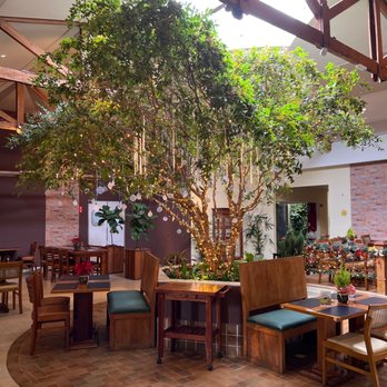 Casa Bela - Bars Near Me - Holambra, SP