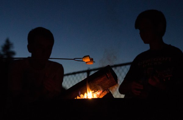 Sweet Springs Family Farm by null