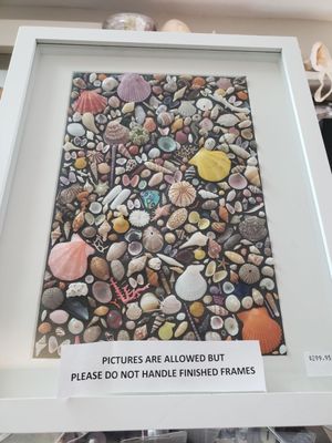 Sanibel Seashell Industries