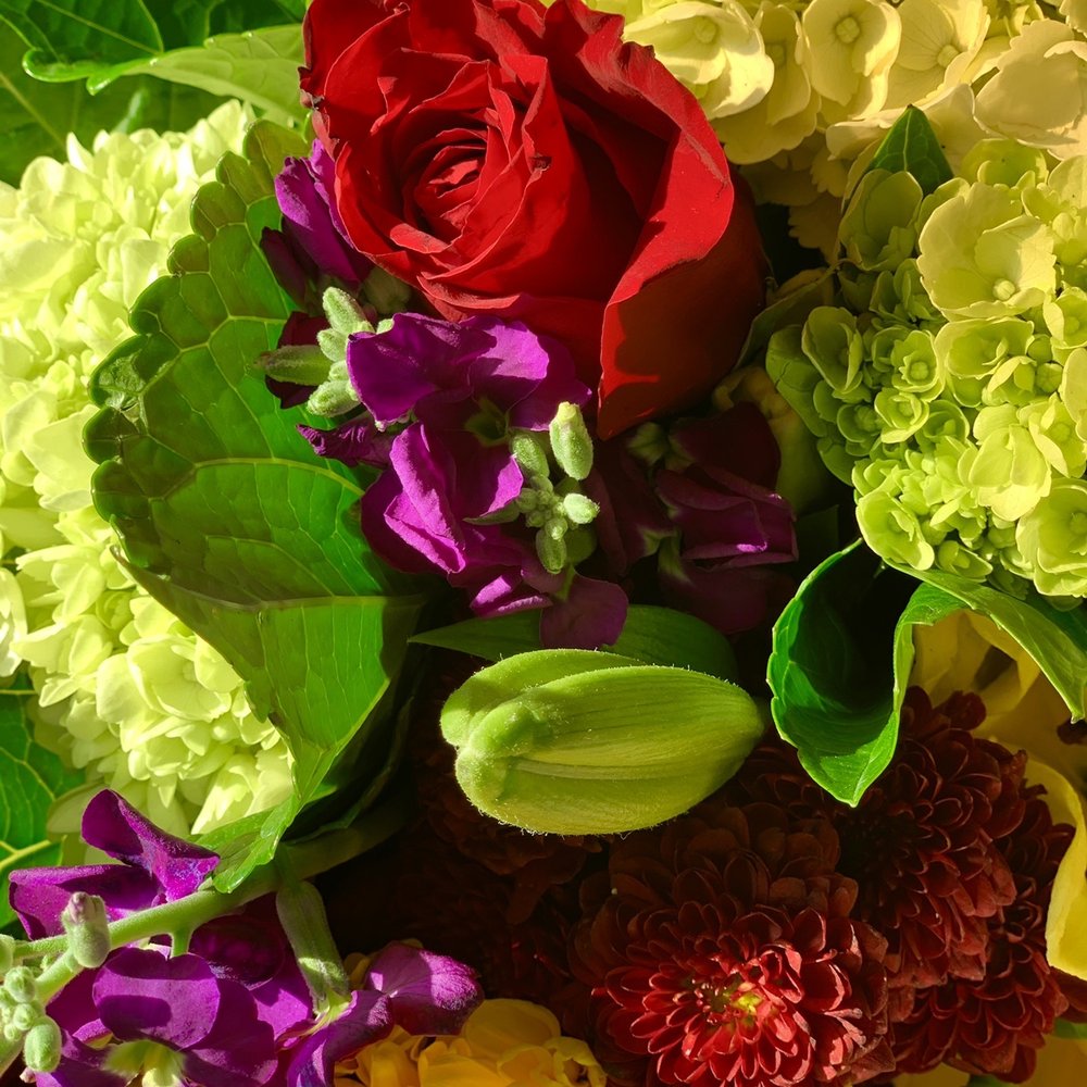 Trader Joe's - Flowers for a class - Grocery Near Me - Houston, Texas
