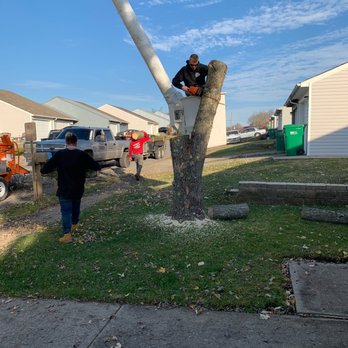 A Top Notch Tree Service - Tree Services Near Me