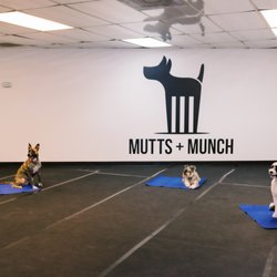 karlthedogtrainer - New training center in Tarzana
