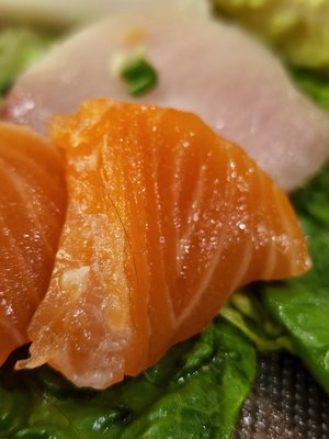 Akita Sushi by null