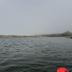 Bodega Bay Surf Shack