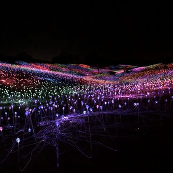 Sensorio - Literally a field of lights - Art Galleries Near Me - Paso Robles, California Sensorio - Literally a field of lights - Art Galleries Near Me - Paso Robles, California