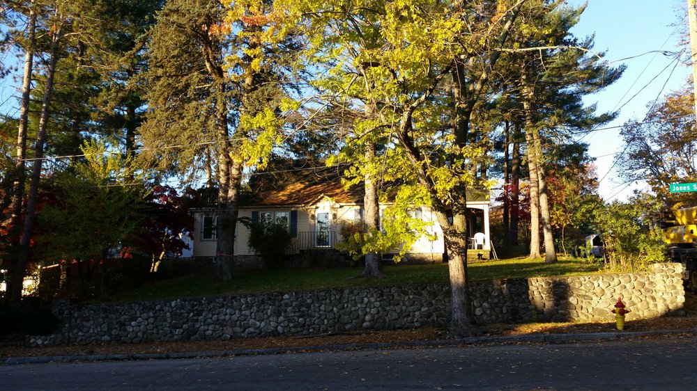 Collins Tree Service - tree service in Hooksett, NH