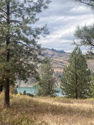 Kalamalka Lake Provincial Park by null