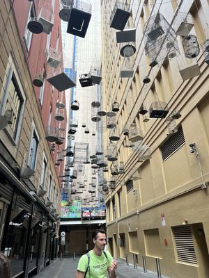 I'm Free Walking Tours Sydney by null