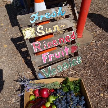 Indian Valley U-Pick Farm - Pick Your Own Farms Near Me - San Miguel, California