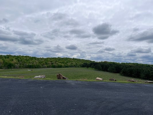 Blue Valley Vineyard and Winery by null