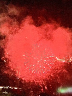 Queen Victoria Park by null