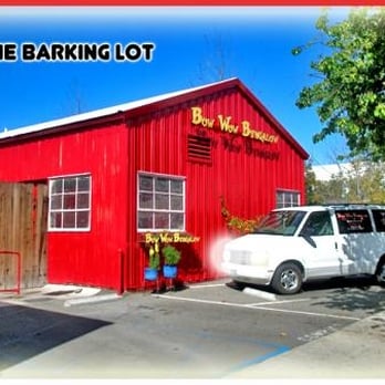 Bow Wow Bungalow - parking lot - Pet Sitting Near Me - Burbank, California