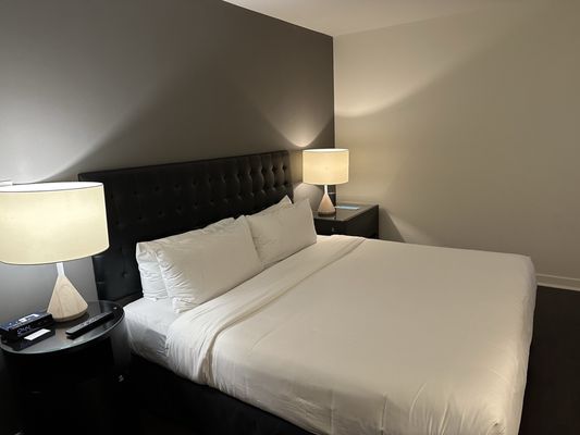 Hotel Zetta San Francisco by null