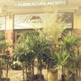 Photo of Floricultura Miosotis
