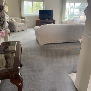 Alex Carpet Cleaning - Carpet Cleaning Near Me