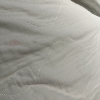 Tru by Hilton Bowling Green - Hairs and stains on the mattress pad - Hotels Near Me - Bowling Green, Kentucky