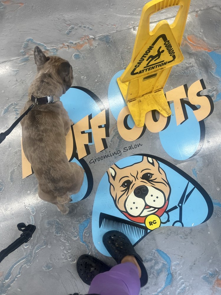 RUFF CUTS GROOMING SALON Updated October 2024 11 Photos & 17