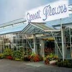 Gosset Fleurs