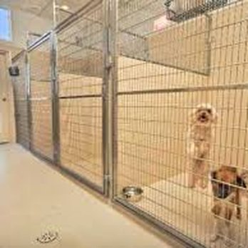 Vista Veterinary Hospital - Veterinarians Near Me - Kennewick, Washington Vista Veterinary Hospital - Veterinarians Near Me - Kennewick, Washington