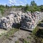 Photo of Pacific Rockery