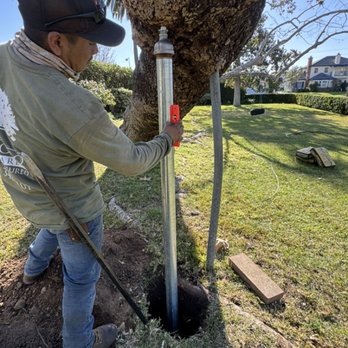 Villatoro Tree Care - Making sure it's level - Tree Services Near Me Villatoro Tree Care - Making sure it's level - Tree Services Near Me