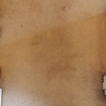 Soft & Dry Carpet Cleaning - Yuk! This was horrible - Carpet Cleaning Near Me - Stanwood, Washington