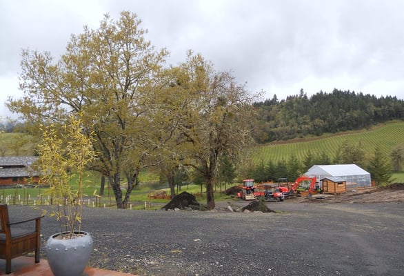 Reustle-Prayer Rock Vineyards by null