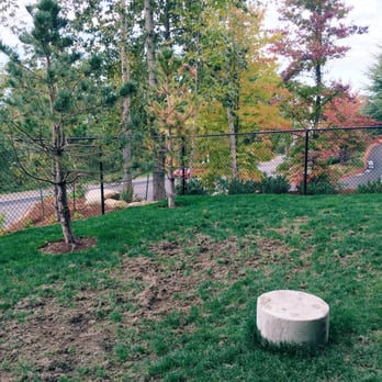 Altitude Apartments - The dog area - Apartments Near Me - Renton, Washington Altitude Apartments - The dog area - Apartments Near Me - Renton, Washington