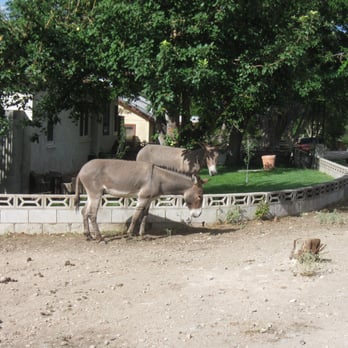 Blue Diamond Park - Destroying the lawns of all the residents. - Parks Near Me - Blue Diamond, Nevada
