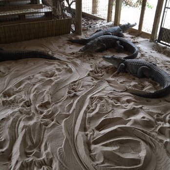 gator park - Boat Tours Near Me - Miami, Florida