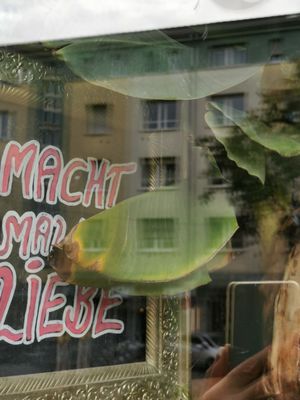 Alte Liebe by null