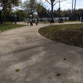 Bark Park - Dog Parks Near Me - Miami, Florida Bark Park - Dog Parks Near Me - Miami, Florida