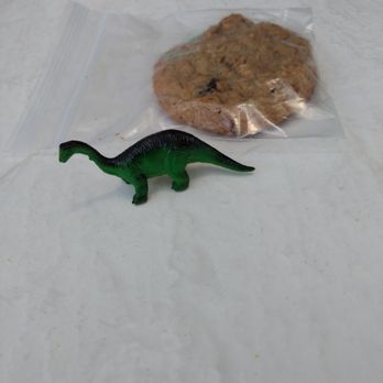 The Daily Planet Cafe - Kid toy and cookie. - Cafes Near Me - Raleigh, North Carolina The Daily Planet Cafe - Kid toy and cookie. - Cafes Near Me - Raleigh, North Carolina