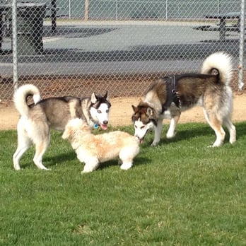 Peter D Gill Memorial Park - Baseball field - Parks Near Me - Milpitas, California