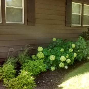 Martinez Yard Services - Flowerbed and yard along house - Landscaping Near Me