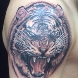 Explicit Tattoo - Tiger Tattoo, By: Corey