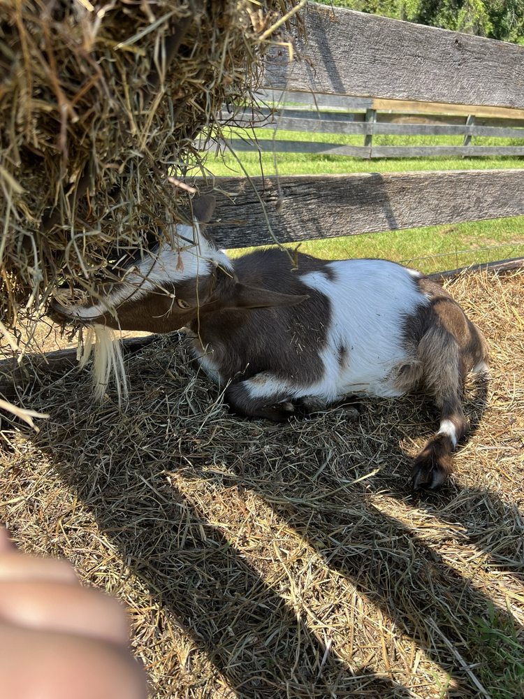 Social spots from DuBois Farms