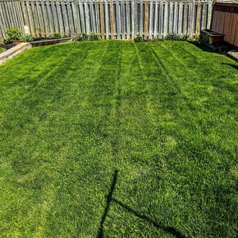 GTA Property Renewal - Lawn Services Near Me GTA Property Renewal - Lawn Services Near Me