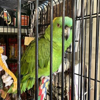 Pet Central - Pet Stores Near Me - San Francisco, California