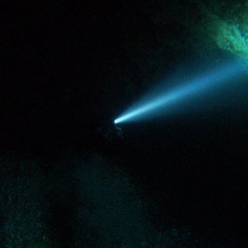 Paradise Springs - A lone flashlight checking out the cavern walls - Diving Near Me - Ocala, Florida Paradise Springs - A lone flashlight checking out the cavern walls - Diving Near Me - Ocala, Florida
