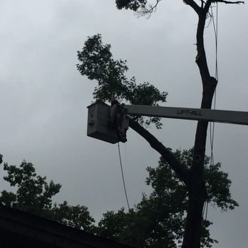 AAA Irish Tree Service - Tree Services Near Me AAA Irish Tree Service - Tree Services Near Me