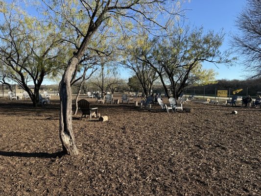 MUTTS Canine Cantina® by null
