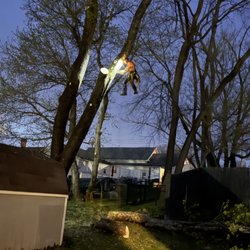 Full Circle Tree Pro - Just finishing up for the evening...