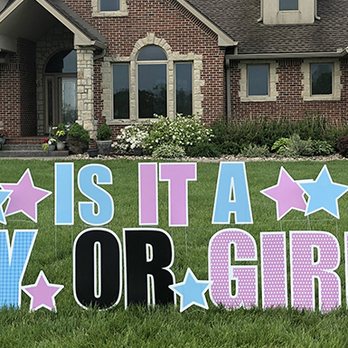 Yard Love Southern Celebrations - Gender Reveal or baby shower yard sign - Party Equipment Rentals Near Me Yard Love Southern Celebrations - Gender Reveal or baby shower yard sign - Party Equipment Rentals Near Me