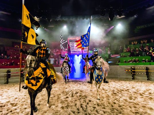 Medieval Times Dinner & Tournament by null