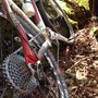Photo of Soquel Demonstration State Forest