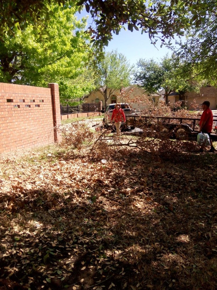 LOZANO LANDSCAPE Updated September 2024 Miami, Florida