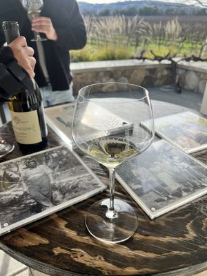 Sangiacomo Vineyards by null